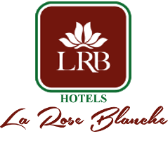 rose-blanche-korogho